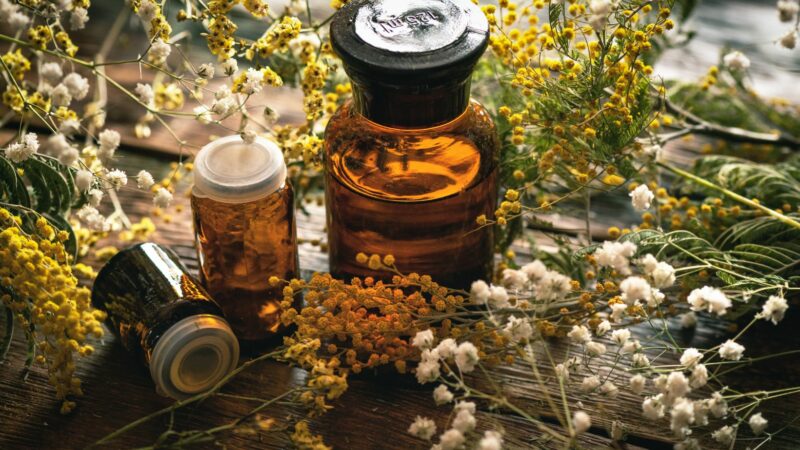 wowhead herbalism guide